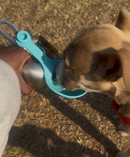 🐾 VenturePaw™ Leak-proof Explorer Bottle